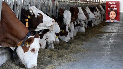 Et ithalatına devam