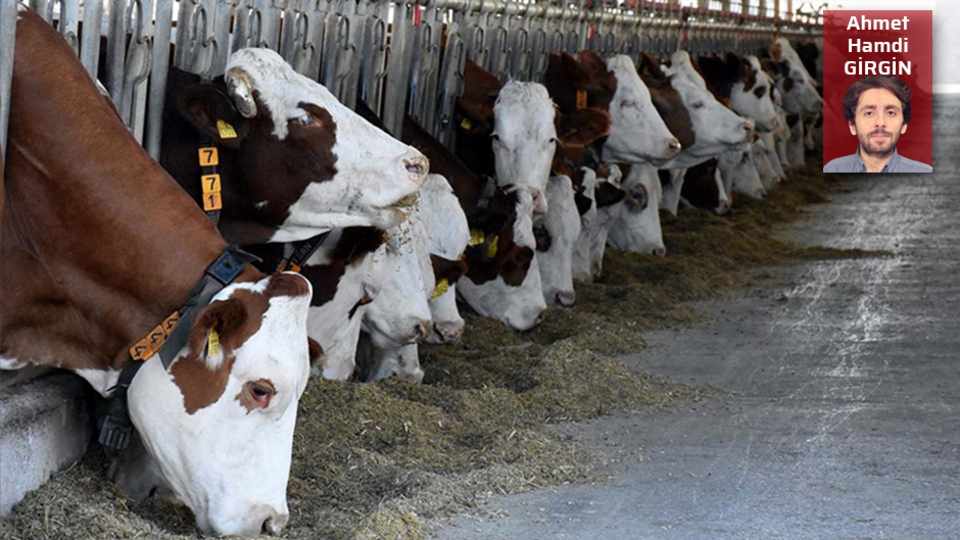 Et ithalatına devam