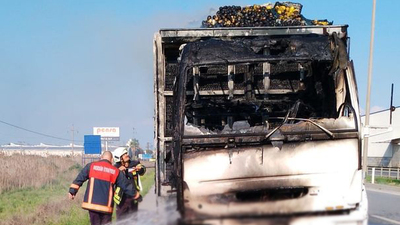 Limon yüklü kamyonda çıkan yangın söndürüldü