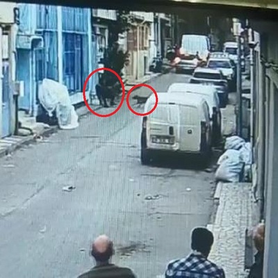 Bursa'daki "Pitbull saldırısı" davası ağır cezada!