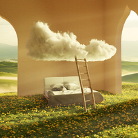 Rüyada Amin Görmek