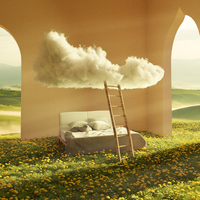 Rüyada Atlıkarınca Görmek