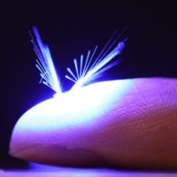 Polenleşmeyi sağlayan minik robotlar