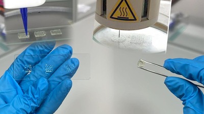 Endokrin organlar açısından bir ilk! Türk bilim insanları üç boyutlu biyoyazıcı kullanarak ürettiler