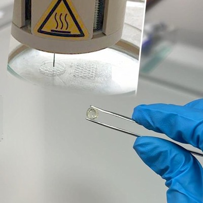 Endokrin organlar açısından bir ilk! Türk bilim insanları üç boyutlu biyoyazıcı kullanarak ürettiler