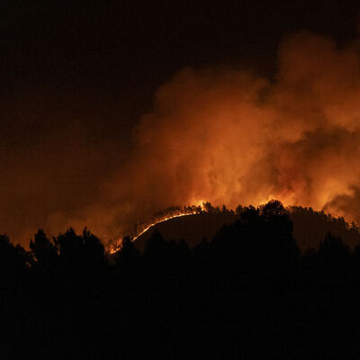 Yılın ilk büyük orman yangını! Binlerce hektarlık alan kül oldu