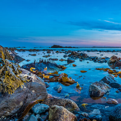 45 yılı aşkın süredir adada tek başına! Robinson Crusoe hayatı yaşıyor