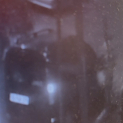 Cami önündeki ağacın dibine cenin gömdüler!