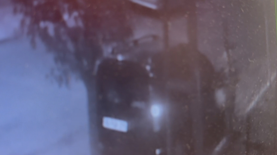 Cami önündeki ağacın dibine cenin gömdüler!