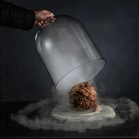 Mamut DNA'sından köfte yapıldı