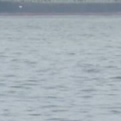 Marmara Bölgesi için yeni tsunami senaryosu!