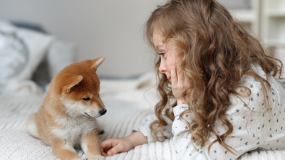 Evcil hayvanlarla yaşamak alerji riskini azaltabilir!