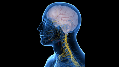Yat kaptanı Keçeci: Serinlik yüzüme değdiğinde çalışamıyordum