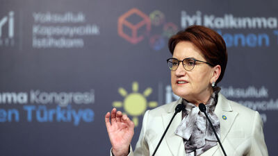 İYİ Parti, 15 ilde temayül yoklaması yapıyor