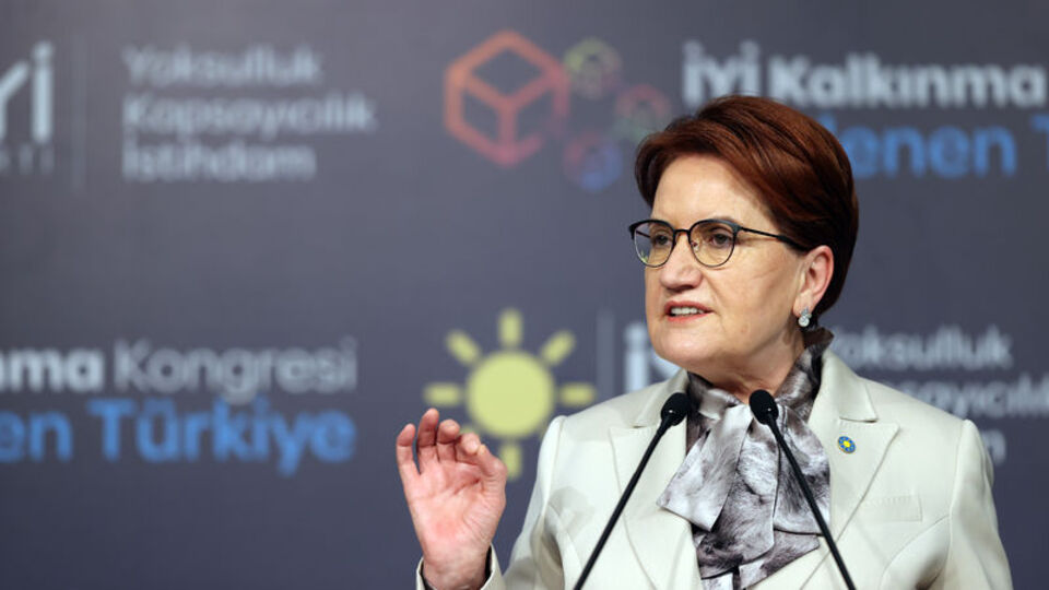 İYİ Parti, 15 ilde temayül yoklaması yapıyor