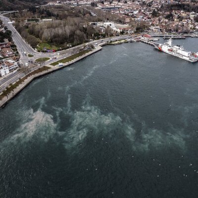 Tedirgin eden açıklama: Kuraklık müsilaja yol açabilir