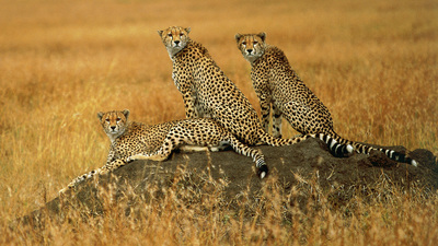 Süha Derbent'in 'Harmoni'si Uniq Hall'de