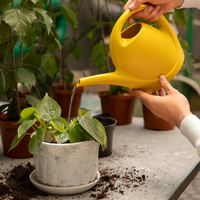Araştırma: Stresli bitkiler çığlık atıyor