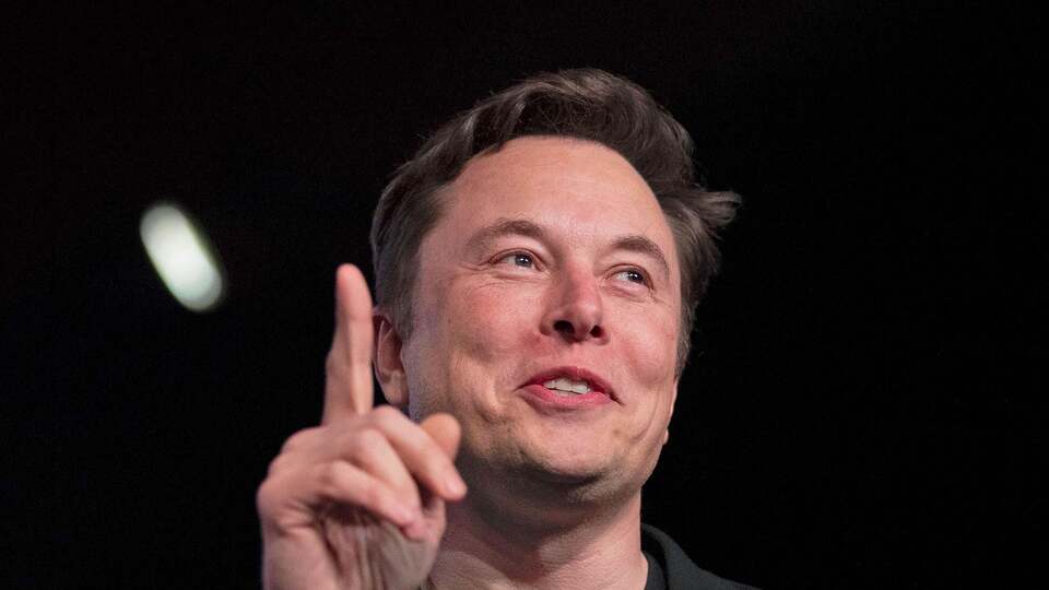 Kuş gitti köpek geldi, piyasa hareketlendi