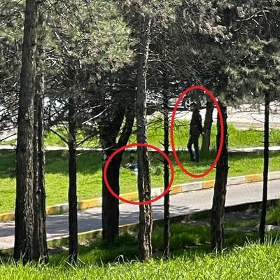 Görenlerin kanı dondu! Öldürüp başında bekledi!