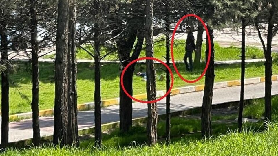 Görenlerin kanı dondu! Öldürüp başında bekledi!