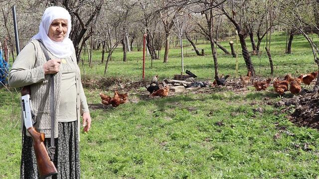 Gülistan Hanım'ın 'çakal' nöbeti