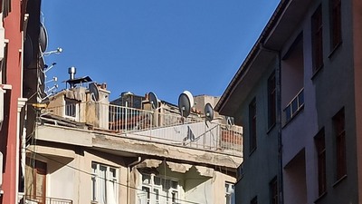 Çöp evde bulunan bebek devlet korumasında