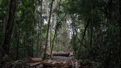 15 milyon hastalığı önlüyor!