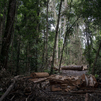 15 milyon hastalığı önlüyor!