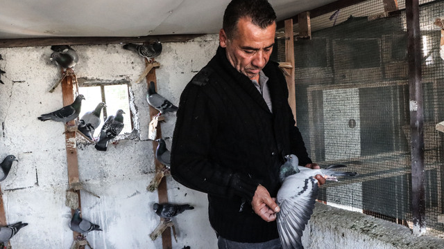 Çöken binadan kurtardığı güvercinlerini arkadaşına emanet etti