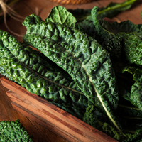 Kanser hücrelerine ve kabızlığa karşı koruyucu kalkan!