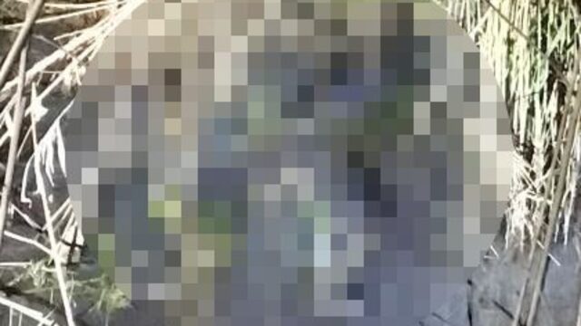 Dere yatağında cansız beden bulundu