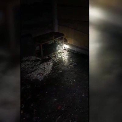 Çiftçinin, tavuklarını telef eden sansara "hesap sorması" gülümsetti