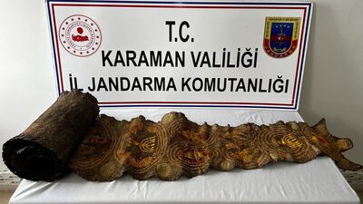 Karaman'da yakalandı! Piton yılanı derisine yazılmış