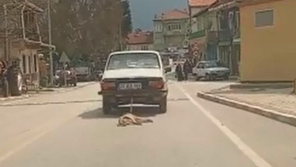 O anlar kamerada! Sürükleyerek öldürdü!