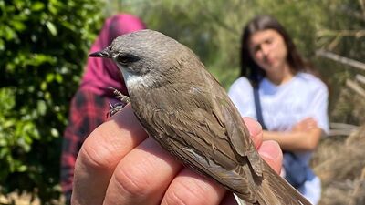 Estonya'dan göç ediyordu, Türkiye'de ilk kez yakalandı