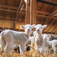 Ruhunuza iyi gelecek seyahat trendleri