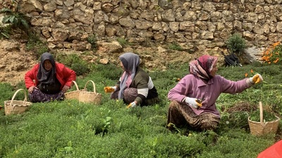 5 bin girişimci kadına destek