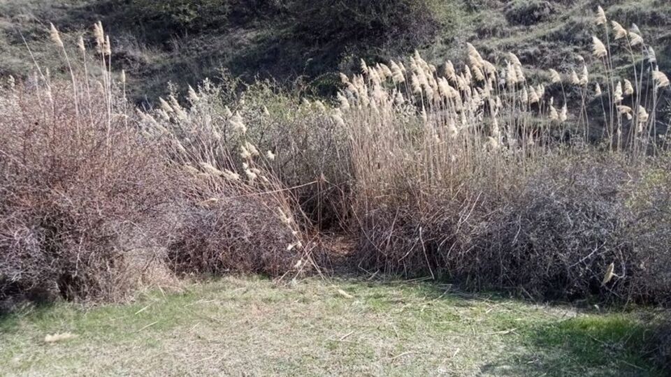 Ankara'da insan kafatası ve kemikleri bulundu