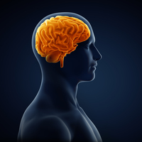 Elektronik sigara beynin merkezini bozuyor