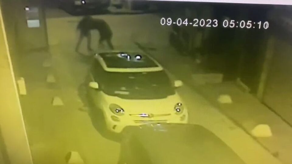 Köpek bakımı tartışması bıçaklı saldırıya dönüştü!