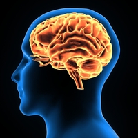 Güçlü hafızanın sırrı bunlarda saklı!