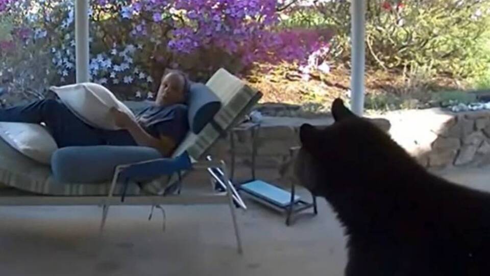 Bahçesinde kitap okurken göz göze geldi... Neye uğradığını şaşırdı