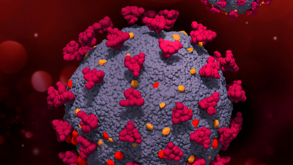 Sessiz pandemi Lyme: 350 hastalığı taklit edebiliyor