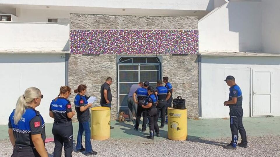 Tüyleri diken diken eden ifadeler