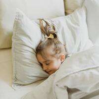 Rüyada Biber Fidesi Görmek