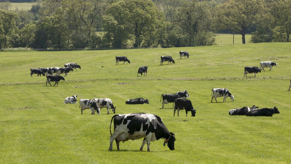 478 projeye 1 milyar TL hibe desteği