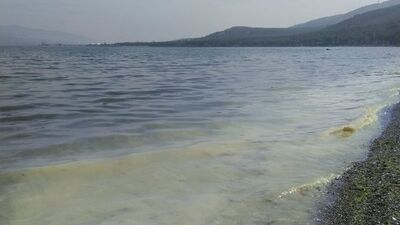 Marmara için kötü haber! Geri mi dönüyor?