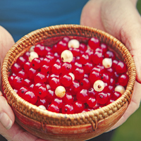 Ciddi hastalıkların habercisi olabilir, hemen önleminizi alın!