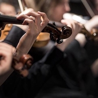 Yitirilen canlar için söyleyecekler